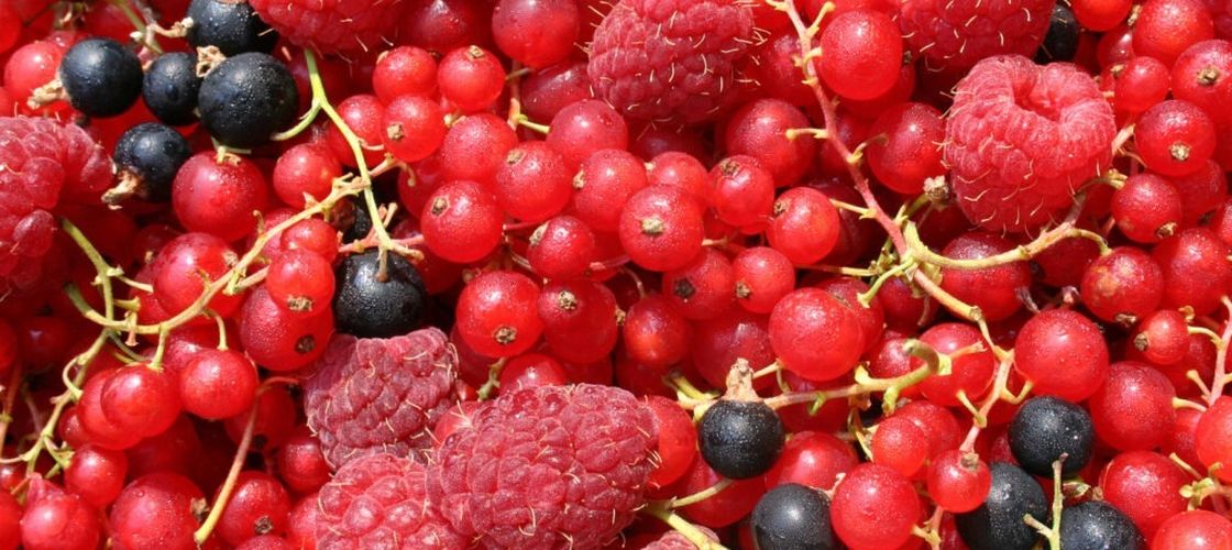 Șase fructe dintre cele mai comune, care conțin de trei ori mai mulți antioxidanți decât ceaiul verde