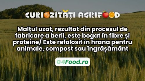 Curiozități agrifood - 3 iulie | Malțul uzat - rezultat din procesul de fabricare a berii- bogat în fibre și proteine/ Este refolosit în hrana pentru animale, compost sau îngrășământ