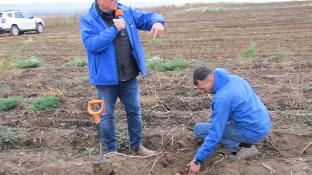 VIDEO | Cartofi românești pe raftul magazinelor tot timpul anului/ Nicolae Șerban (Șerban Holding): „Totul pleacă de la pământ, de la respectul pe care i-l arăți pământului. Urmează apoi irigațiile și calitatea apei”