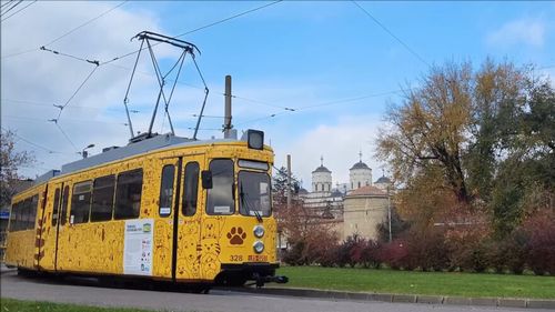 VIDEO | „Tramvaiul Responsabilității” va strânge din nou la Iași hrană și alte ajutoare pentru câinii fără stăpân