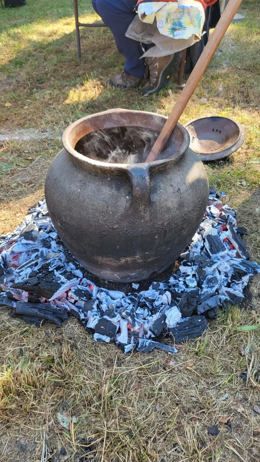 campionatul modial de gatit fudulii