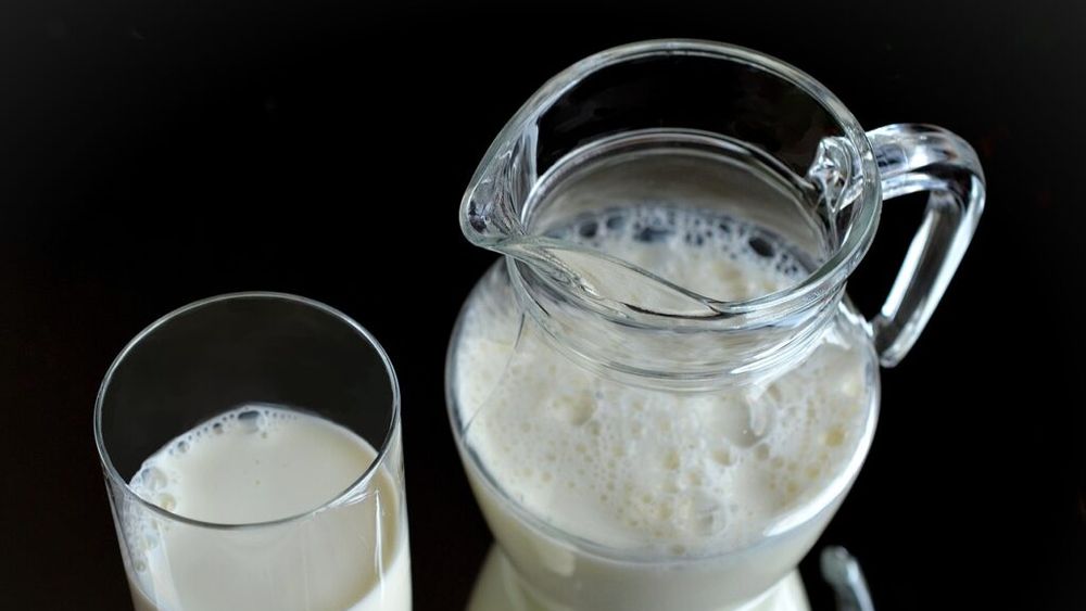 Piața globală a proteinelor din lapte va ajunge la 22,6 miliarde dolari, până în 2030!