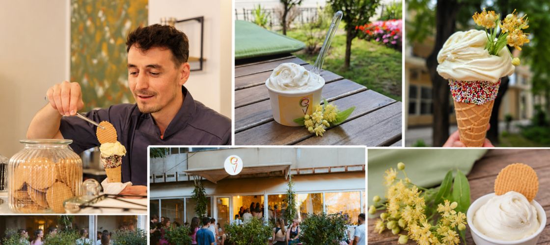 O gelaterie din Iași lansează înghețata cu flori de tei. Aroma, inspirată de parfumul orașului / „Fiecare cupă trezește amintiri: plimbări prin Copou, serile liniștite de iunie, teii înfloriți și farmecul inconfundabil al Târgului Iașilor”