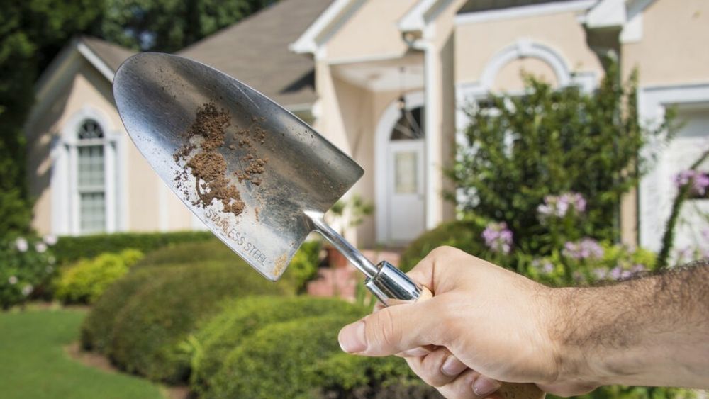 Un bărbat care își căra acasă uneltele de grădinărit, arestat de poliția din Manchester / Britanicul vrea să conteste sancțiunea primită din cauza confuziei că poartă arme albe