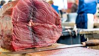 Carne de vită provenită din Brazilia, cu urme de hormoni interzisi în UE, descoperită pe piața europeană / Produsele au fost retrase de la vânzare / Fermierii cer controale mai stricte în contextul acordului comercial cu statele Mercosur