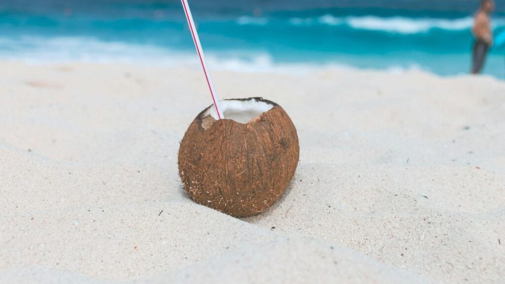 2 septembrie, Ziua mondială a nucii de cocos / Nuca de cocos menține hidratarea, este bună pentru sănătatea inimii și susține digestia / 5 beneficii ale acestui fruct exotic