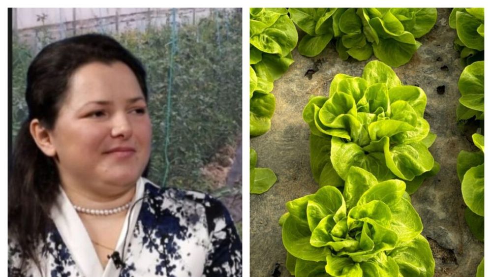 VIDEO | Luciana Stan, legumicultor: „Dacă vrem să ne comparăm cu Europa, trebuie să ajungem la nivelul lor de mecanizare și automatizare. Nu mai dorește nimeni astăzi să lucreze în agricultură, pentru că toată lumea fuge către birouri”