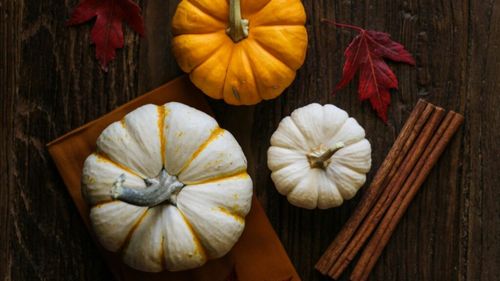 Festivalul dovecilor va avea loc, de vineri până duminică, în Parcul Titan din București/ Vor putea fi degustate preparate culinare românești, internaționale și produse pe bază de dovleac