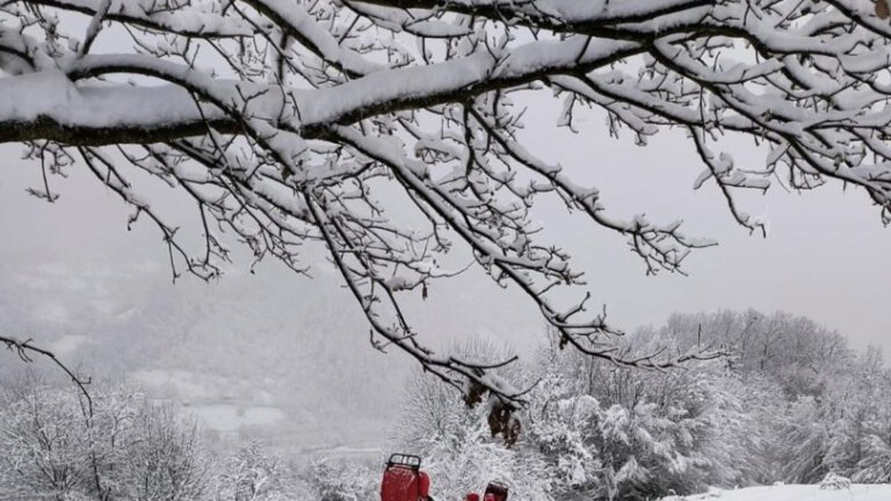Maramureş: Cinci ucraineni care au trecut graniţa prin munţi, recuperaţi de salvamontişti. Ei se aflau de 11 zile pe drum şi au spus că au fugit de război / Salvamontist: „Mâncau şi se uitau la noi cu lacrimi în ochi”