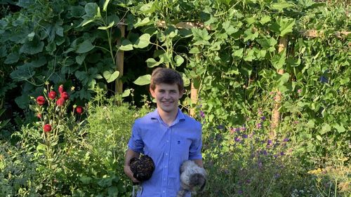Arthur Motté, tânărul care cultivă legume bio pe doar 15 metri pătrați: „Nu ai nevoie de o grădină mare ca să produci hrană” /