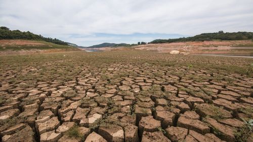 5 decembrie, Ziua Mondială a Solului: Un ONG lansează melodia „Save Soil”, pentru a atrage atenția asupra crizei globale a solului (VIDEO)