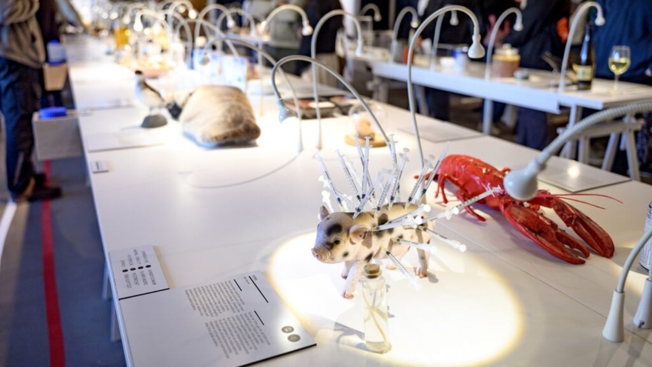 Știai că există muzee ale mâncărurilor dezgustătoare? Vizitatorii primesc o pungă pentru vomă la intrare / Printre exponate se numără moarea de varză murată și supa din burtă de vită