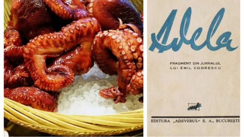 Cum a înmormântat o caracatiță personajul lui Garabet Ibrăileanu din romanul „Adela”, publicat în 1933: „Mireasma — ca orice emanaţie subtilă, de roze şi de caracatiţă — nu cunoştea bariere şi continua să îmbălsămeze împrejurimile”