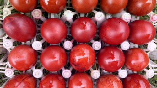 Recomandări ale specialiştilor Institutului Naţional de Sănătate Publică în contextul sărbătorilor pascale: „Moderația este cheia sănătății”