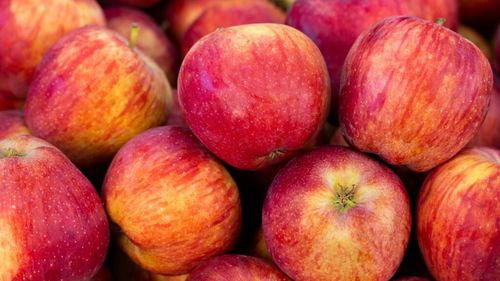 Soiul de mere de care fug americanii: „Aproape că a distrus industria merelor”. Un fermier explică ce s-a întâmplat cu fructul cândva extrem de popular