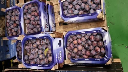 Prunele din Republica Moldova, vândute bine pe piața britanică; prețul la clientul final, peste 4 lire sterline; ce cantitate vinde România?