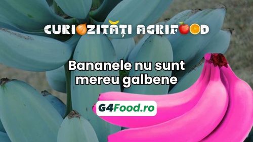 Curiozitate agrifood - 5 august: Bananele nu sunt mereu galbene