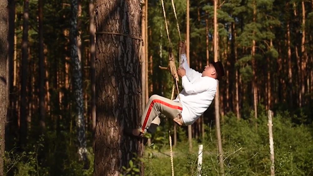 Apicultura tradițională arboricolă, practicată în Polonia și Belarus, inclusă de UNESCO în Patrimoniul Cultural Imaterial al Umanității