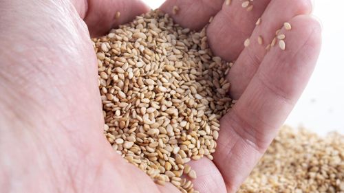 Preţurile recoltelor de cereale cresc, pe fondul riscurilor legate de aprovizionare / Cotaţia grâului este aproape de cel mai ridicat nivel din ultimii ani