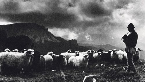 Povestea familiei de oieri mărgineni Vlad/ „În anul 1913, primul transport de unt romanesc își face apariția pe îndepărtata piață a Berlinului. Și este bine primit„