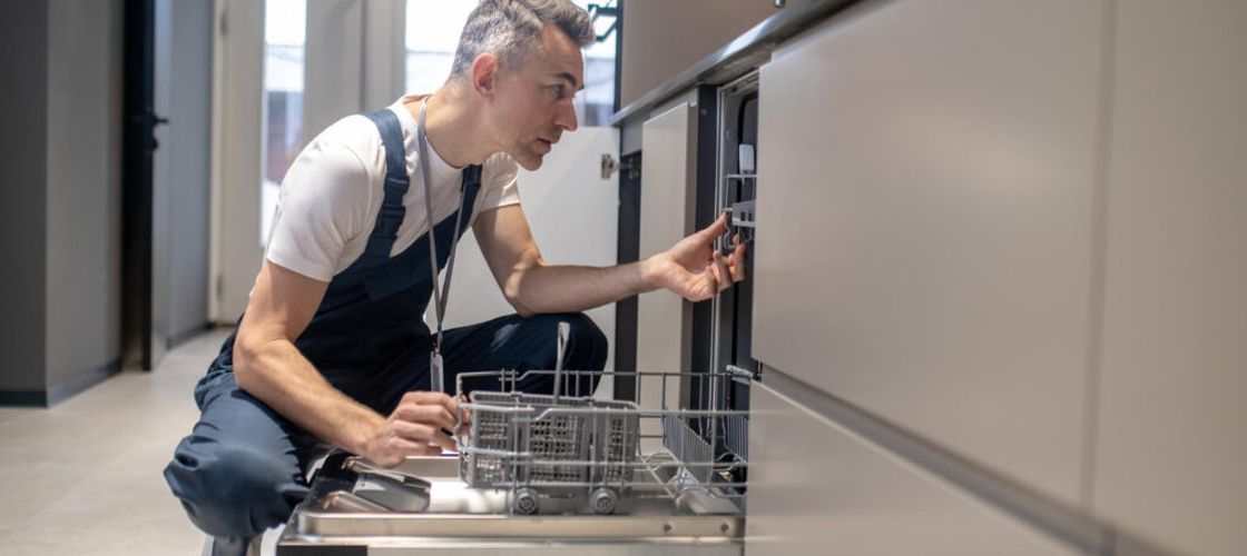 ABC în bucătărie | De ce ar trebui să cureți garnitura mașinii de spălat vase / Depunerile și umezeala pot favoriza apariția mirosurilor neplăcute