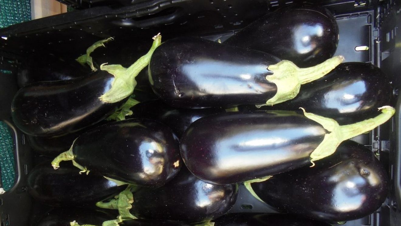 Statisticile groazei: 600 de milioane de oameni se îmbolnăvesc anual din cauza alimentelor alterate sau contaminate, iar 420 000 dintre pacienți decedează;  Cum combate tehnologia avansată fraudele alimentare