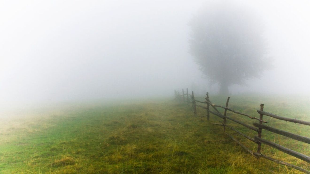 Recoltarea ceții, o posibilă soluție pentru combaterea penuriei de apă în cele mai aride regiuni ale lumii / Un studiu a demonstrat că este posibilă utilizarea apei provenită din ceaţă / Apa colectată ar putea fi folosită pentru băut, irigare şi agricultură