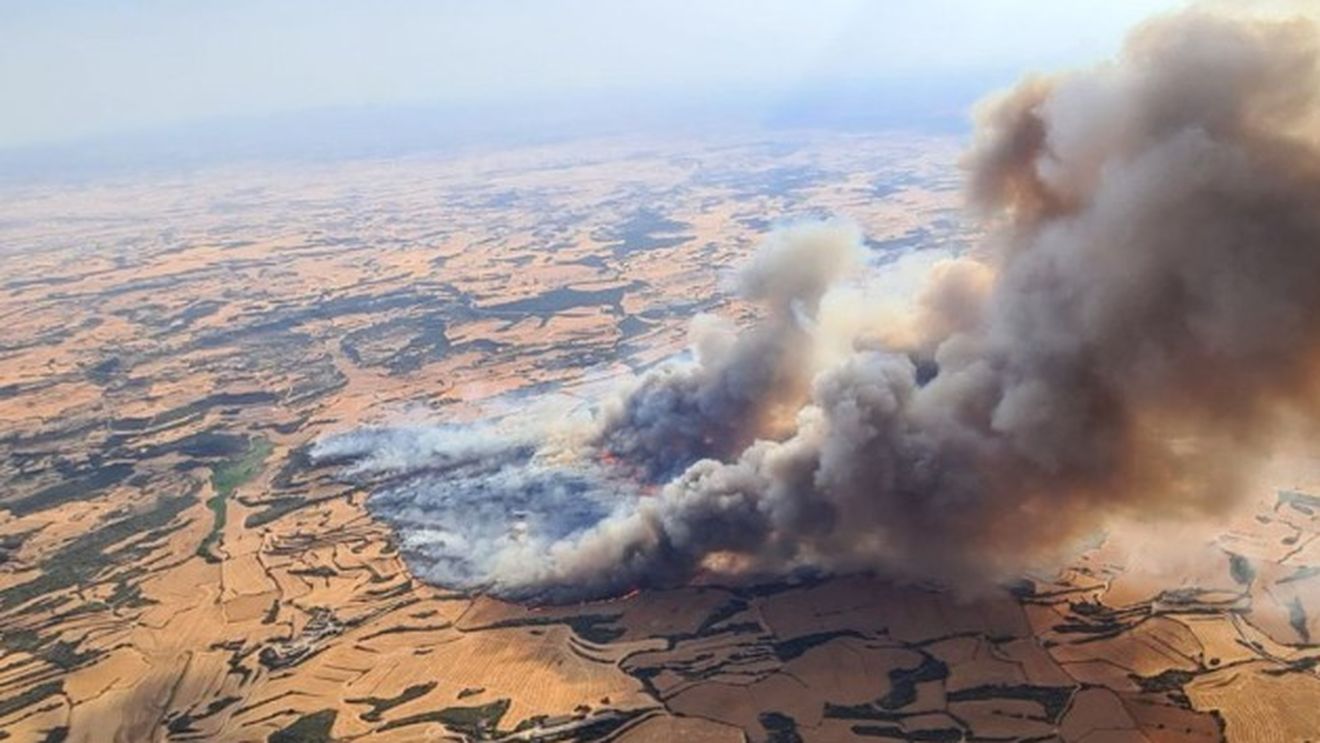 Ajutoare europene de urgență pentru agricultorii afectați de megaincendiul din sudul Franței/În peninsula Iberică valul de căldură și incendiile pun în pericol producția din acest an