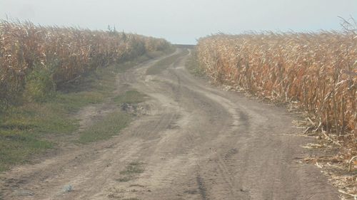 Când vom avea un Observator European al tranzacțiilor cu terenuri agricole?