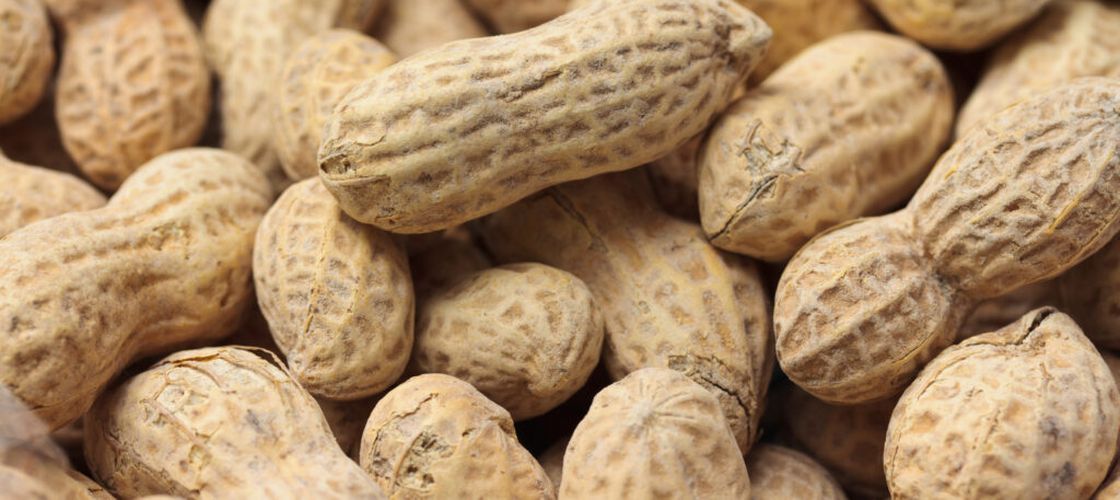 Alergia la arahide ar putea fi tratată cu ajutorul bacteriilor „bune” din intestin. Un studiu deschide o nouă direcție de cercetare