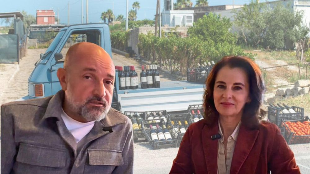 VIDEO | Care e problema cu vinurile nefiscalizate din România? Diana Pavelescu, consilier în cadrul Oficiului Național al Viei și Produselor Vitivinicole, explică