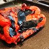 VIDEO FOTO | Cum coci și cureți rapid ardeii pentru ca zacusca să nu fie o provocare. Secretul simplu pe care îl știu de la mama
