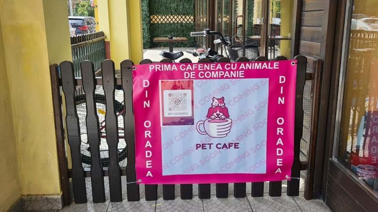 Controversă la Oradea: Un local numit Pet Cafe nu permite clienților accesul cu animalele de companie proprii, așa cum au crezut la început/Ei își pot savura cafeaua numai alături de animalele casei