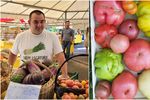 Ce soi de roșii folosești la salată, sos sau ciorbă. Lucian Dragomir (legumicultor): „De-a lungul anilor în care am cultivat tomate am observat că cel mai apreciat soi pentru salată este inimă de bou”