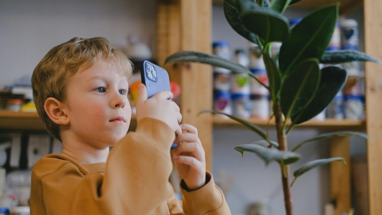 PlantNet, aplicația care susține că baza sa de date conține peste 46 de mii de specii de plante / Ce plante din grădina ta sunt nesigure pentru animalele de companie?