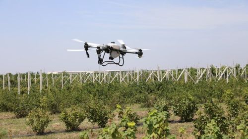 INDAGRA 2024: Roboţi şi drone în loc de muncitori în fermele româneşti / „Există o tehnologizare foarte agresivă a sectorului agricol din cauza deficienţelor în ceea ce priveşte forţa de muncă”