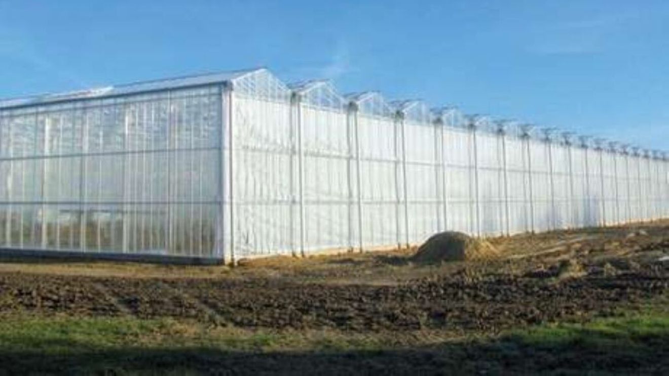 Deși Parlamentul a aprobat deja aceste măsuri, Sorin Grindeanu susține că nu va fi nicio taxă pe sere și solarii