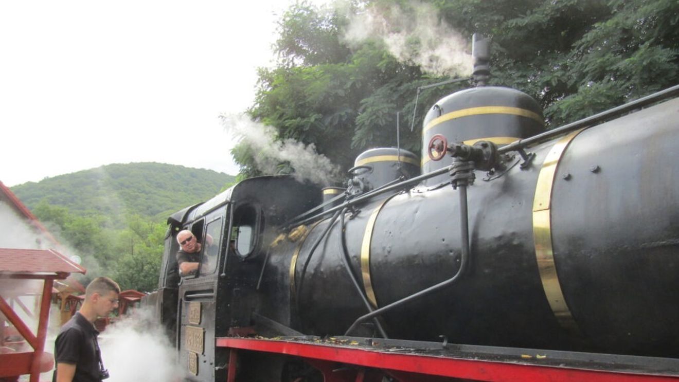 VIDEO | De la bucatele medievale la produse tradiționale de astăzi, prin tunelul timpului. O incursiune în istoria culinară, cu mocănița de la Sovata