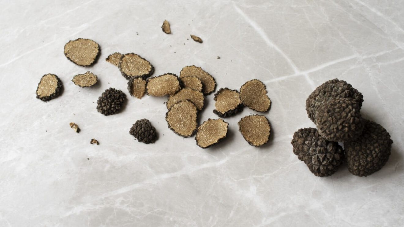 Recoltarea trufelor a început mai devreme din cauza căldurii