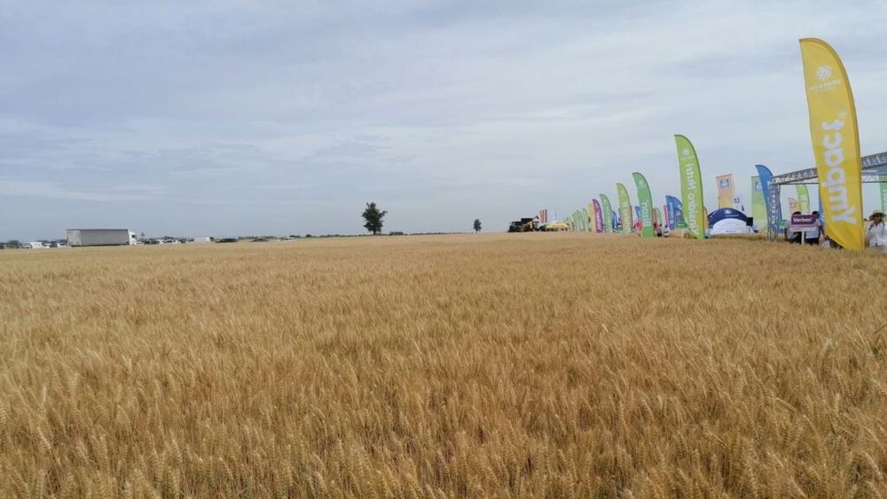 Fermier român, președinte al Forumului APPR, pentru VIAȚA SATULUI: ”apartenența la Uniunea Europeană a adus o schimbare radicală în toate fermele noastre și fermele noastre toate arată complet diferit față de cum arătau înainte de integrare”