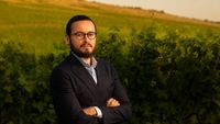 Florin Stegariu (Crama Strunga): România are nevoie de mai multă procesare și branduri regionale pentru a rămâne competitivă / Consumatorul caută identitate, caută poveste, caută relevanță