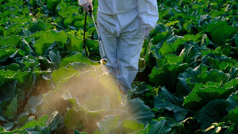 Comisia Europeană recunoaște blocajele din autorizarea pesticidelor și pregătește reguli mai stricte / Oficial: „Sistemul trebuie ajustat pentru a funcționa mai bine”