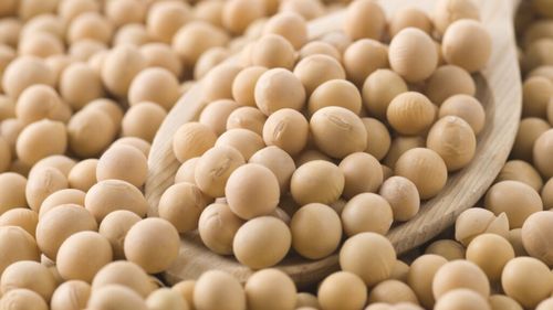 Comisia Europeană a autorizat astăzi utilizarea unei varietăți de soia modificată genetic în produsele alimentare și furaje. Nu a fost însă autorizată și cultura respectivului soi