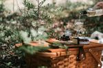 1 Iunie la iarbă verde/ Ce gustări și băuturi luăm cu noi la un picnic cu copiii/ Mâncarea trebuie să fie proaspătă, ambalată etanș și fără ingrediente care se pot degrada la căldură