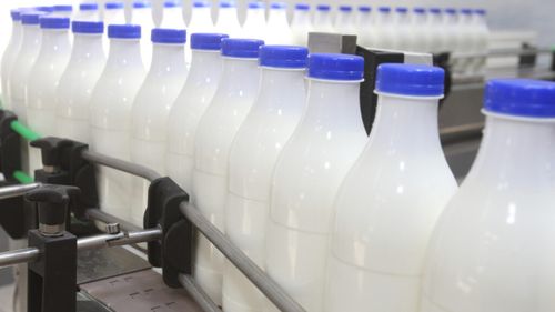 Industria lactatelor din Spania este din ce în ce mai puțin competitivă în raport cu produsele de import. Prețul laptelui spaniol ca materie primă este printre cele mai mari din Europa