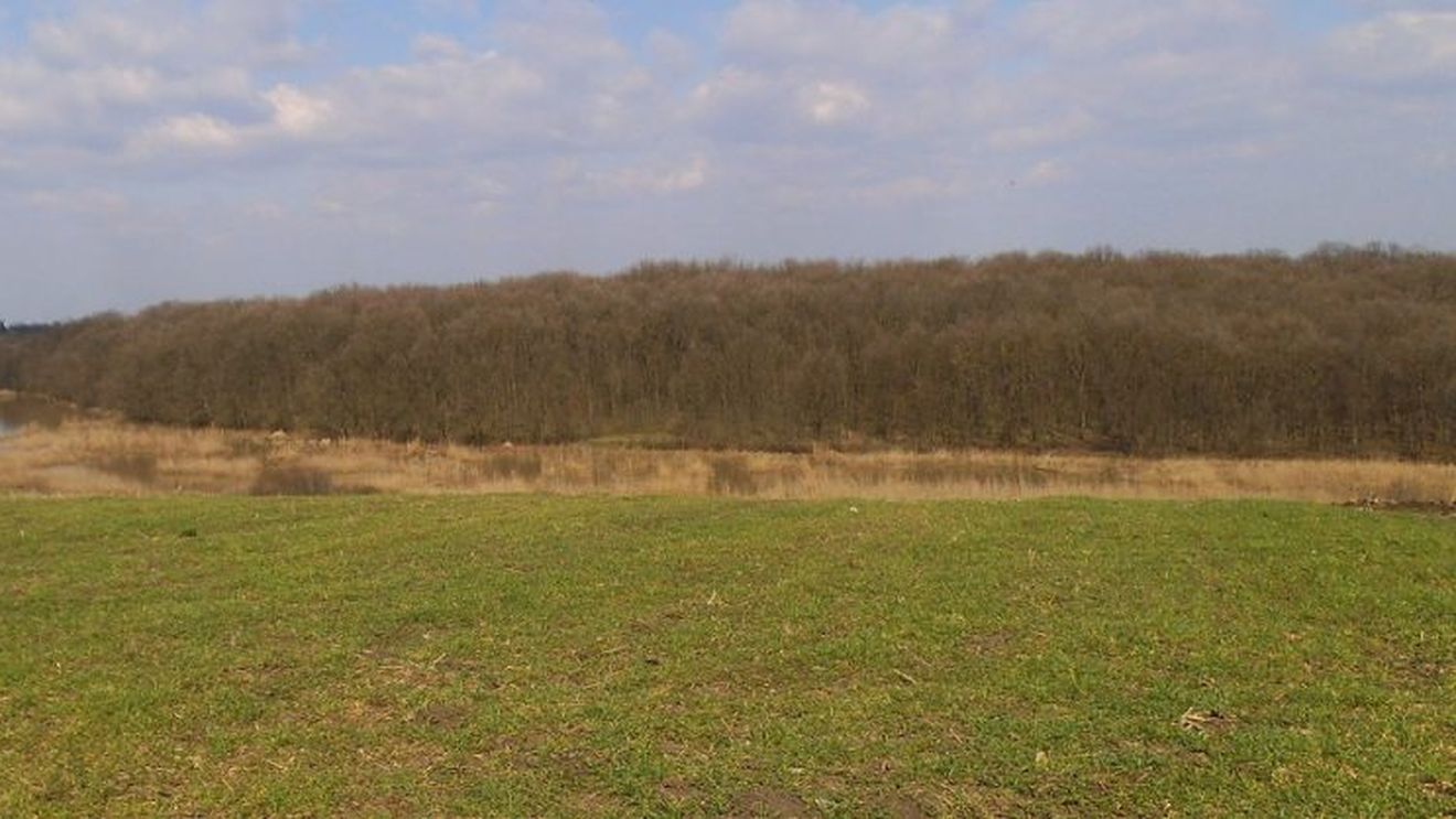 Fosta șefă a Oficiului Județean Pentru Finanțarea Investițiilor Rurale (OJFIR) Hunedoara, condamnată penal de Curtea de Apel Alba Iulia pentru că a încasat ilegal subvenții agricole în valoare de 647.152 lei