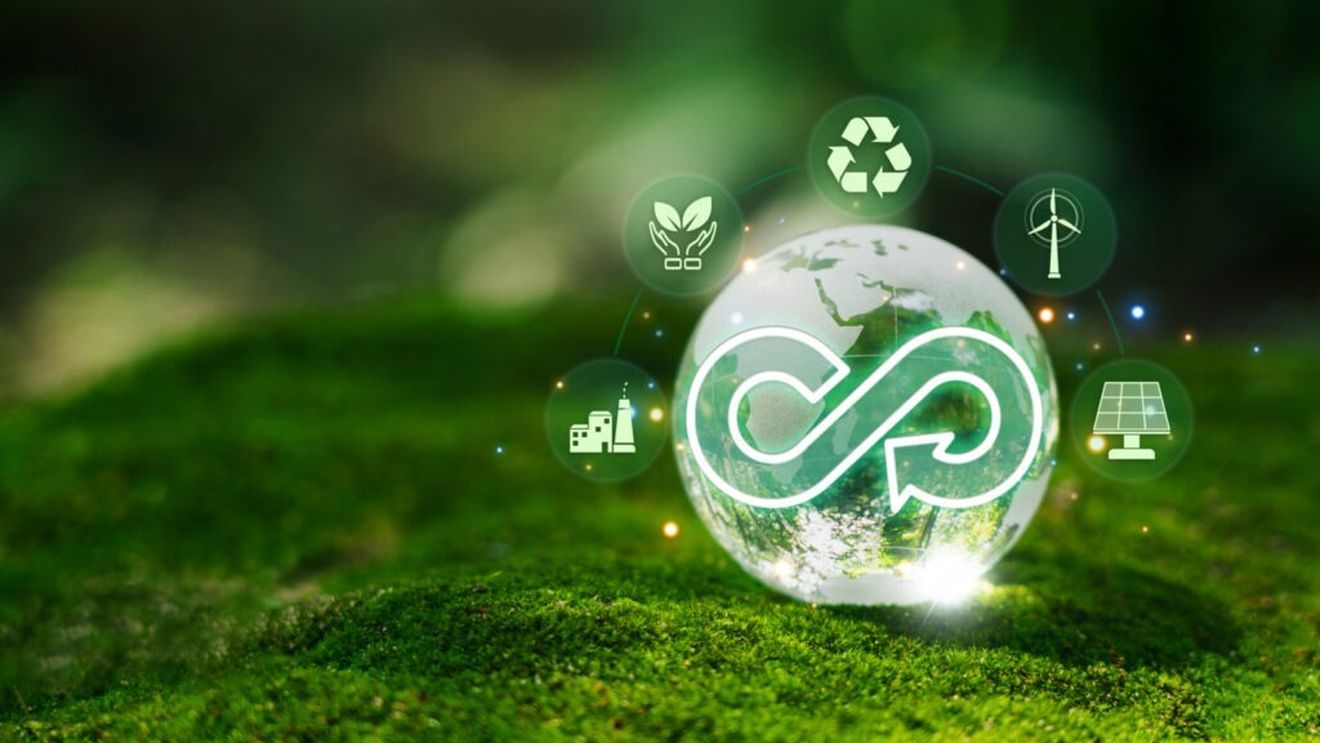 Economia circulară câştigă teren / Sustenabilitatea devine o prioritate pentru companii şi investitori, susține Goldman Sachs / Reducerea risipei alimentare este o componentă importantă