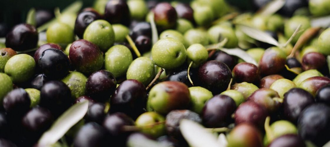 Câte măsline sunt necesare pentru un litru de ulei? Unele sticle sunt obținute din până la 10 kilograme de fructe