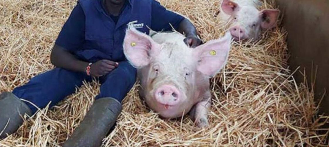 Povestea emigrantului kenyan care a devenit un model pentru fermierii englezi. Cum a reușit Flavian Obiero să-i cucerească pe britanici